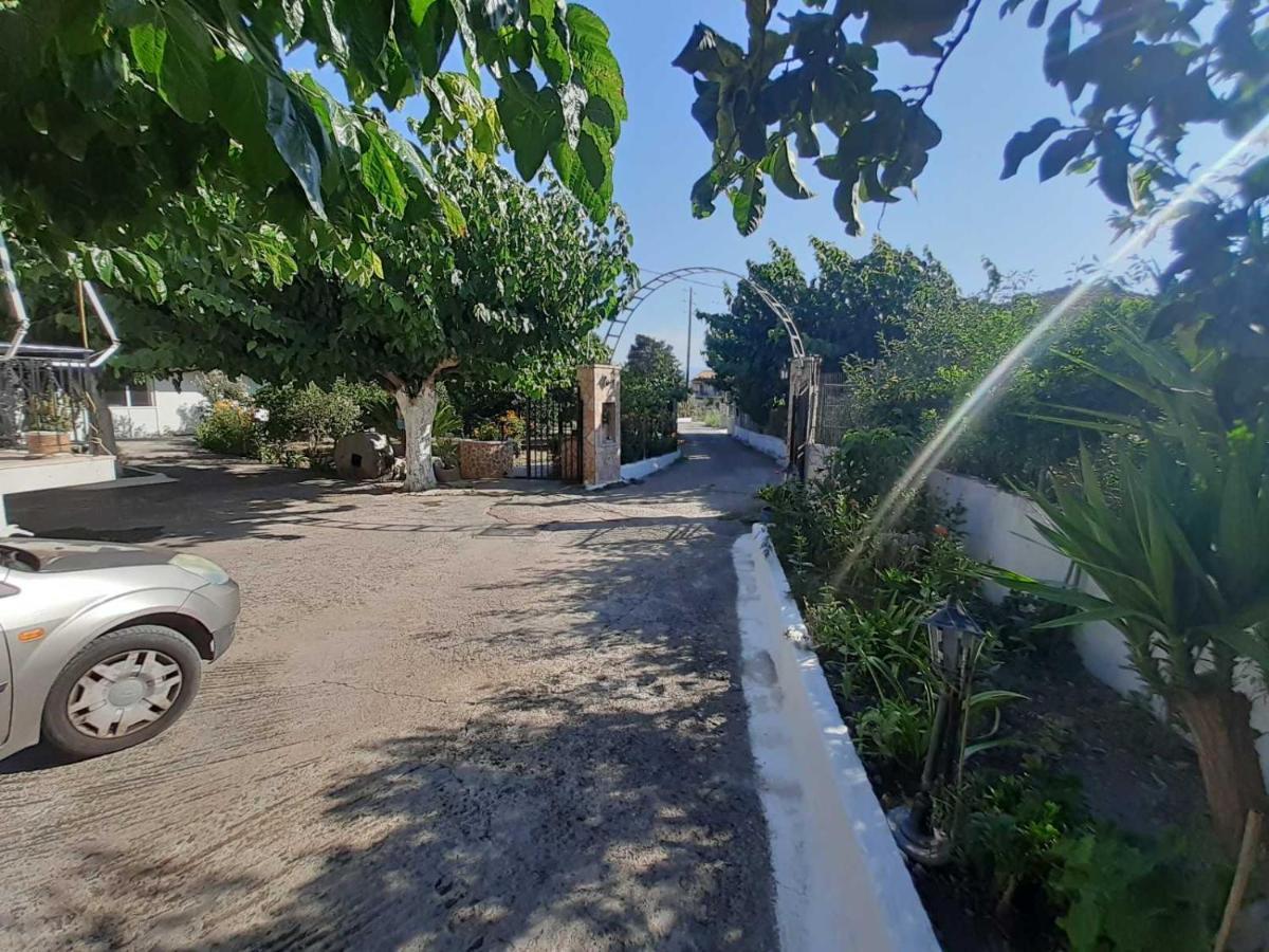 Glyfada's Family * Glyfada (Phocis)