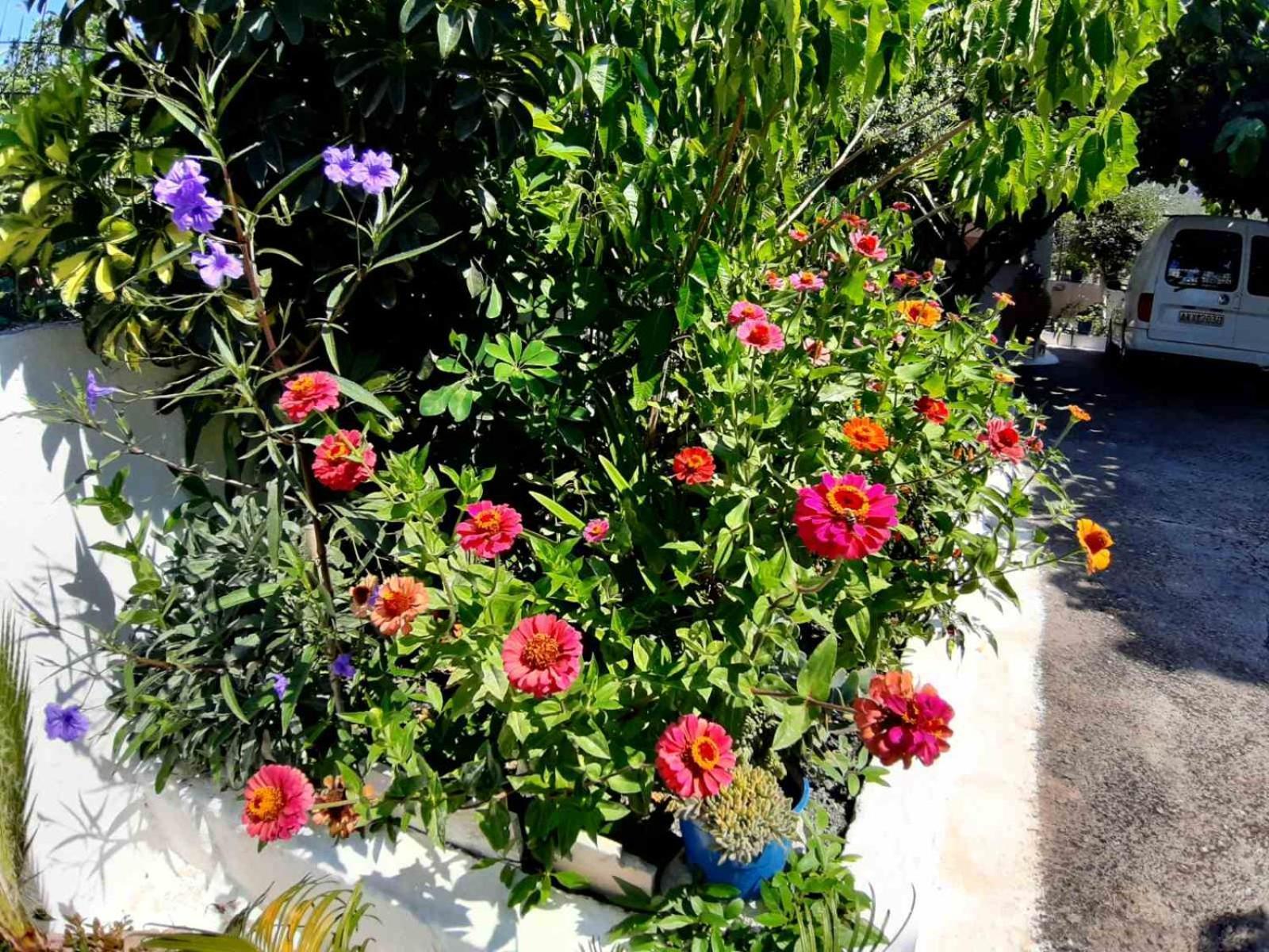 Apartment Glyfada's Family