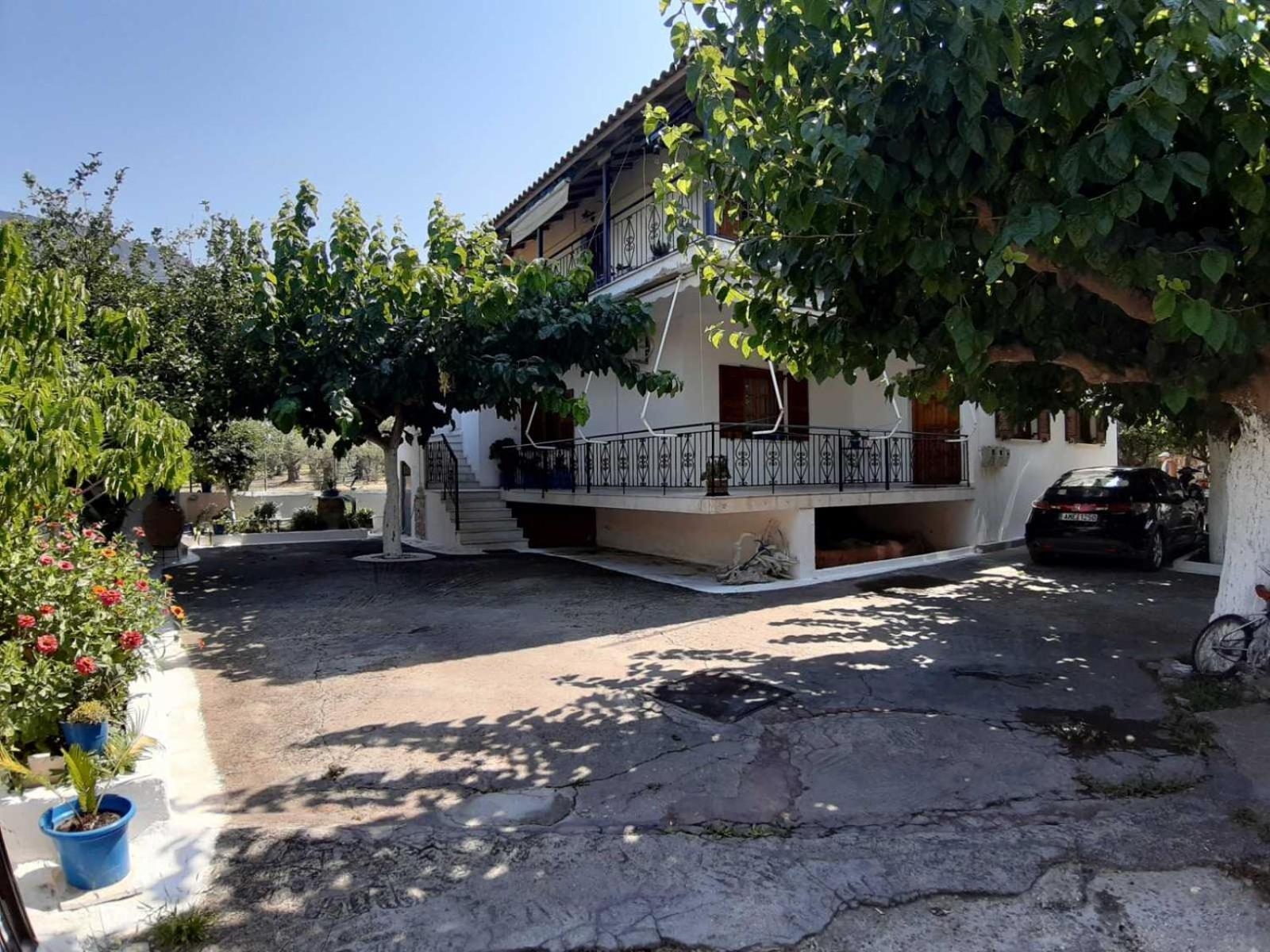 Glyfada's Family * Glyfada (Phocis)