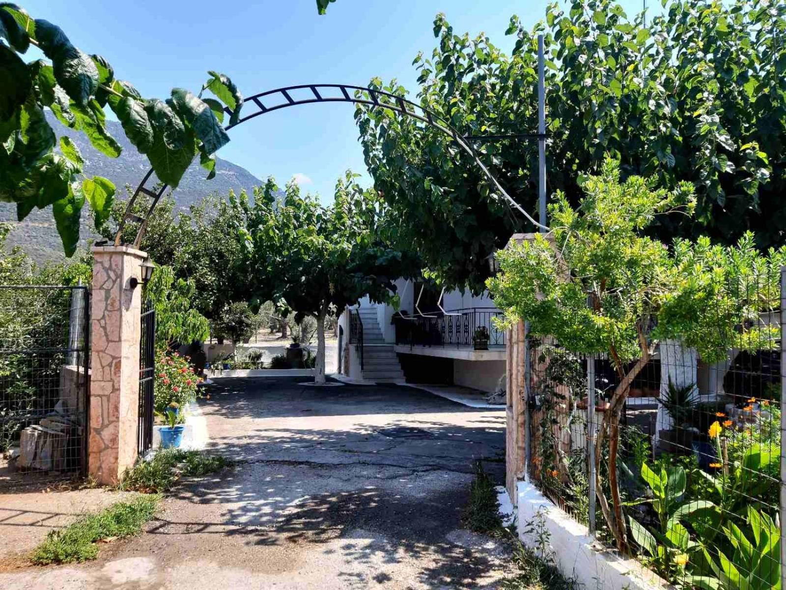 Apartment Glyfada's Family